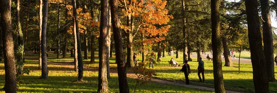 Rencontres à Bron (69) sérieuses et locales au parc de Parilly, cadre naturel proche de Lyon

