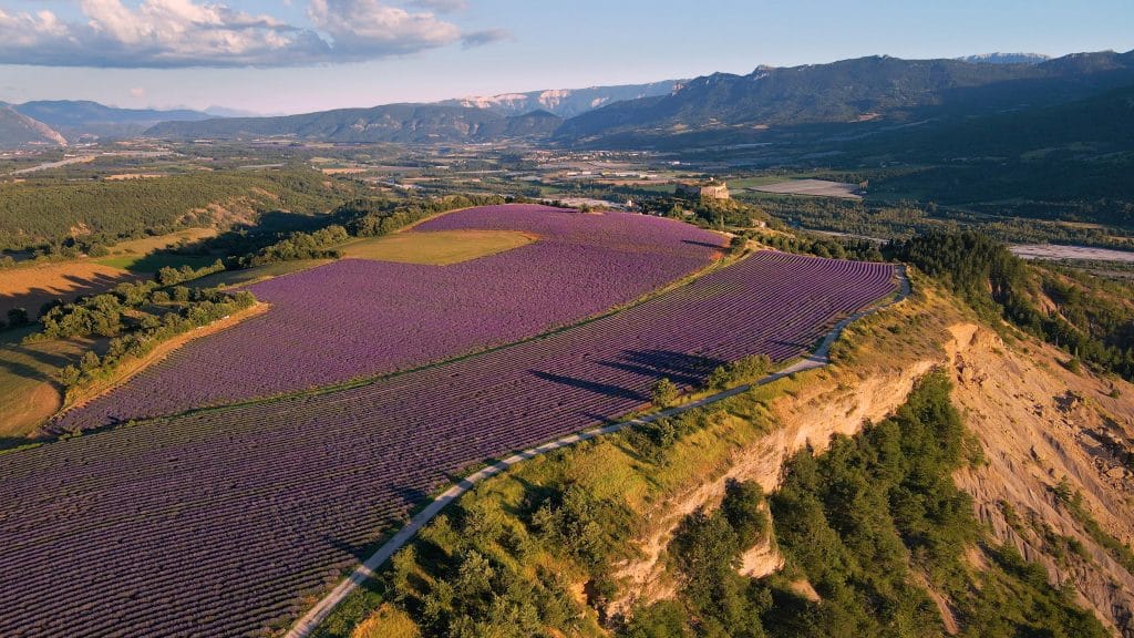 Rencontres dans les Alpes-de-Haute-Provence 04 paysage de Provence